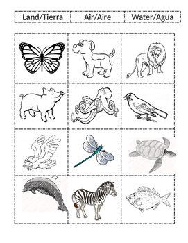 kindergarten land water air animals worksheet|Land, Water or Both Animals Sorting Activity .